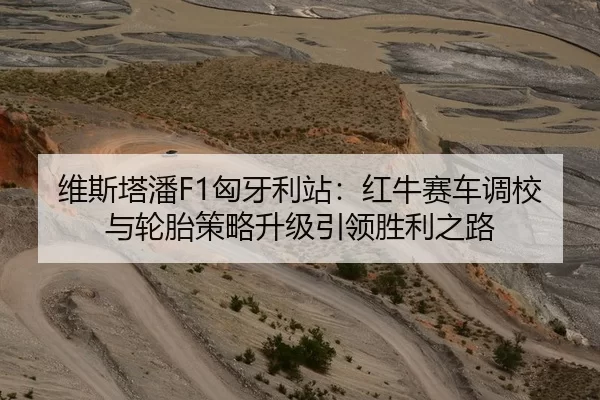 维斯塔潘F1匈牙利站：红牛赛车调校与轮胎策略升级引领胜利之路