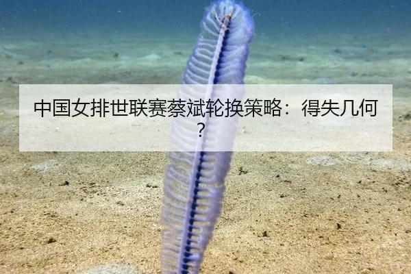 中国女排世联赛蔡斌轮换策略：得失几何？