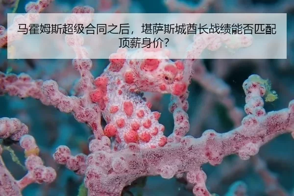 ma-huo-mu-si-chao-ji-he-tong-zhi-hou-kan-sa-si-cheng-qiu-zhang-zhan-ji-neng-fou-pi-pei-ding-xin-shen-jia-3-140.jpg