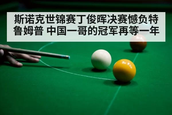 斯诺克世锦赛丁俊晖决赛憾负特鲁姆普 中国一哥的冠军再等一年